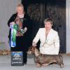 Tadee's first major and first specialty win and first BBE in Specialty shown here winning under Basset Breeder Judge Sandi Chrysanthiss