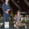 May 2013 BOV - Afghan/Hound Breeder Judge Mr. Chuck Trotter