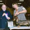 WB/BOW/Best Puppy/Puppy G2 - Judge Kenneth McDermott and Puppy Group Breeder Judge David Peat