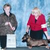 BOS July 2010 2nd GCH Major 38 wires - Judge Kitty Steidel 